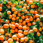 Myagdi orange harvest 2026 with farmers earning Rs 316 million