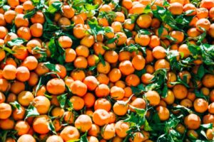 Myagdi orange harvest 2026 with farmers earning Rs 316 million